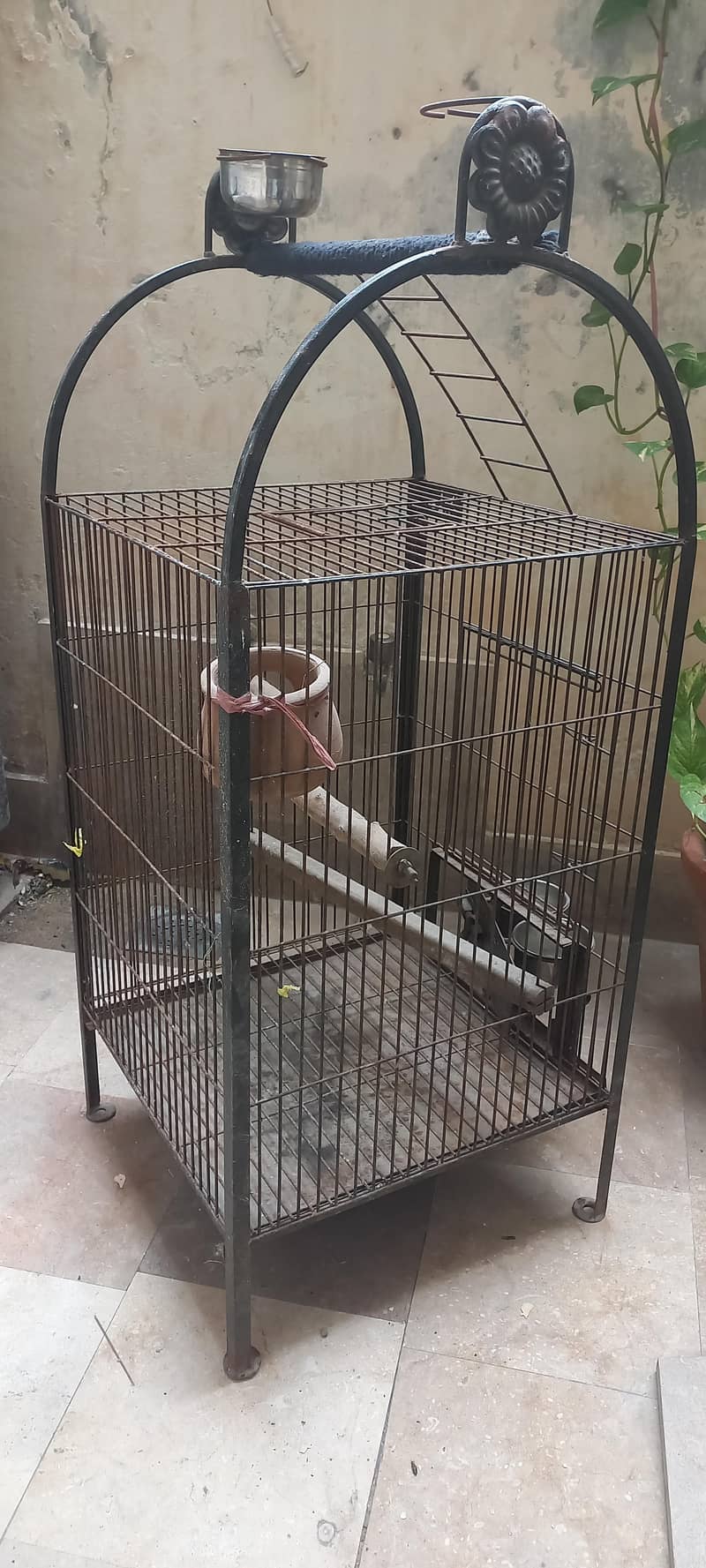 cages 5