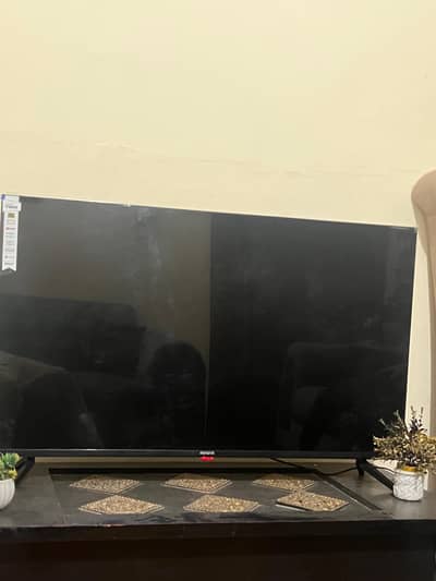 Arwa led