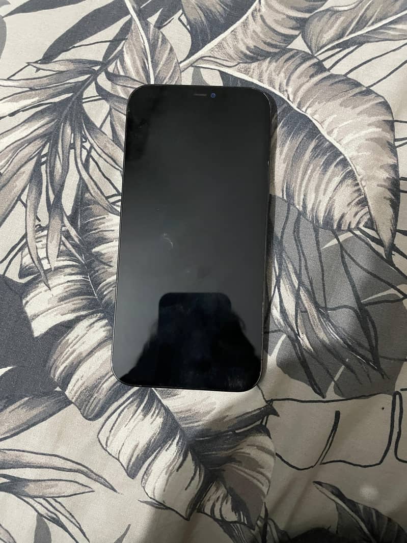 iphone 12 pro max 1