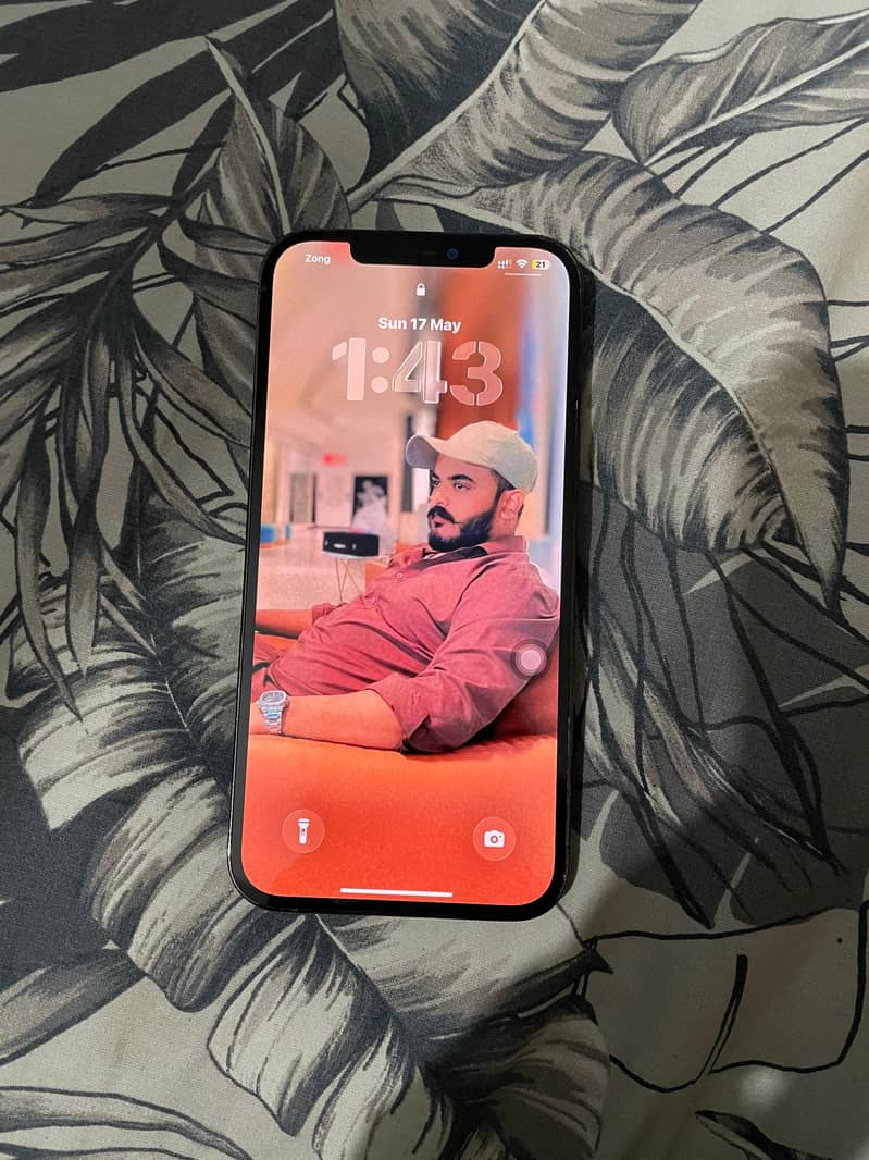 iphone 12 pro max 2
