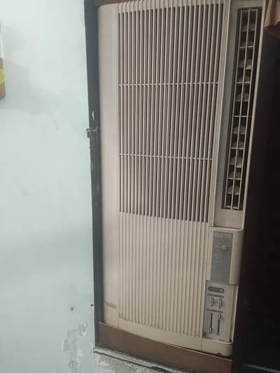 pona ton 110 ac with 220 converter