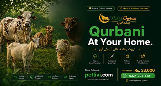 Professional Qasai Service Lahore 2026 -- Home Qurbani | Bakra Cow