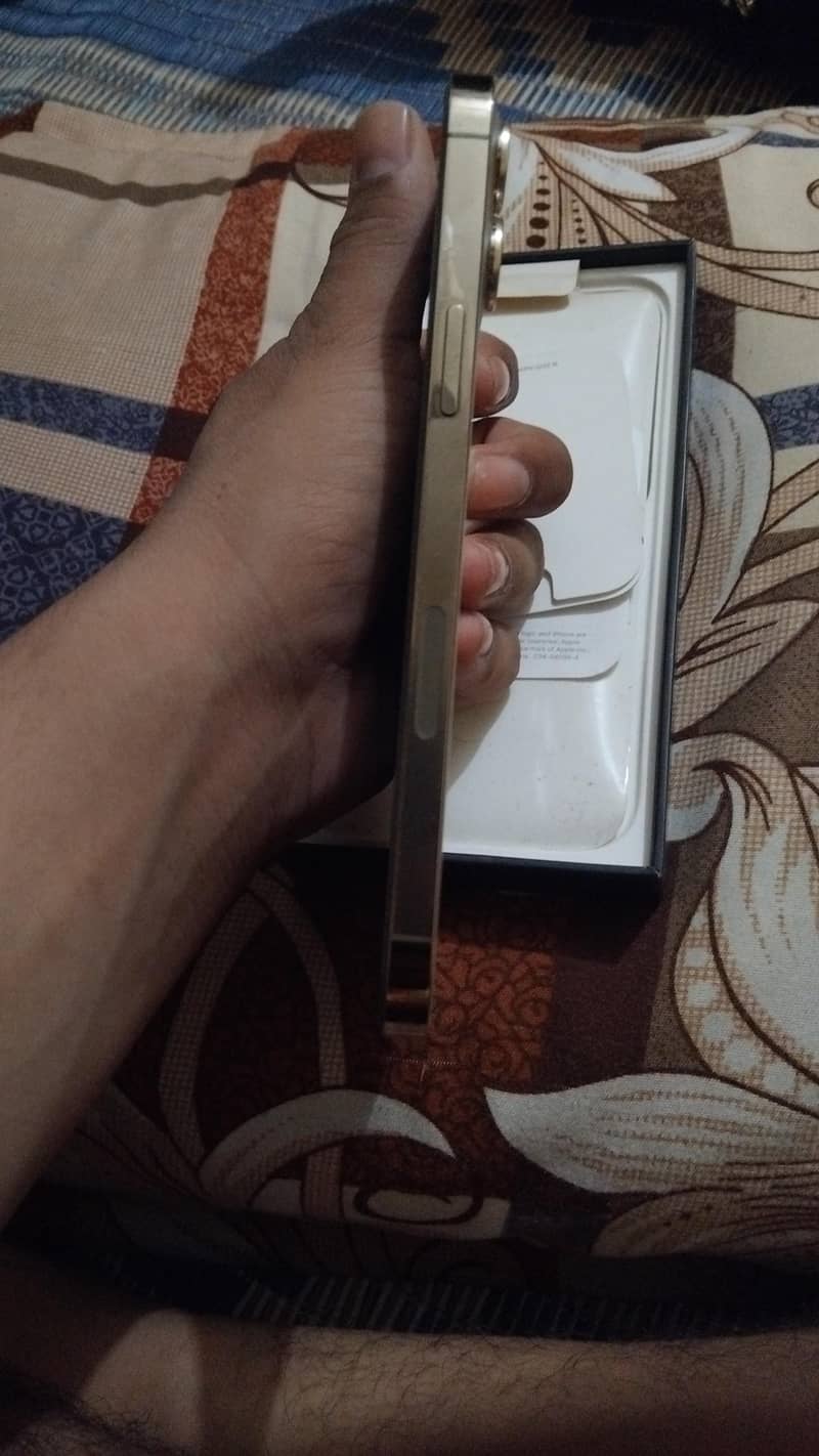 iphone 12 pro max 2