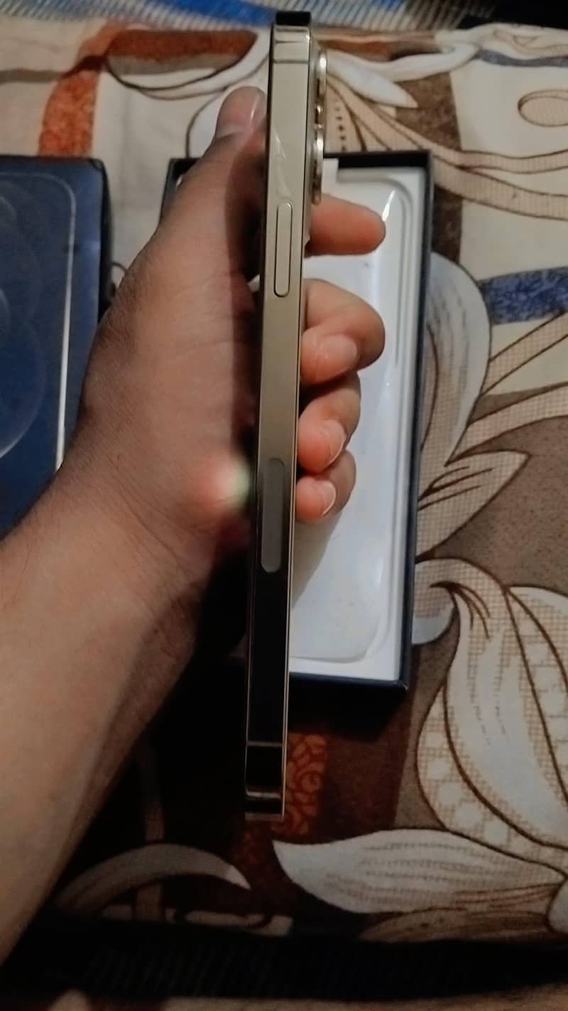 iphone 12 pro max 4