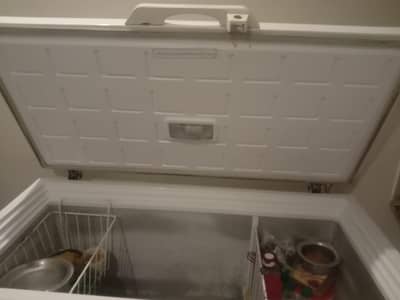 for sale