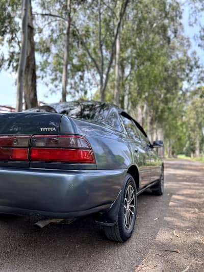 Japanese Corolla SE Limited