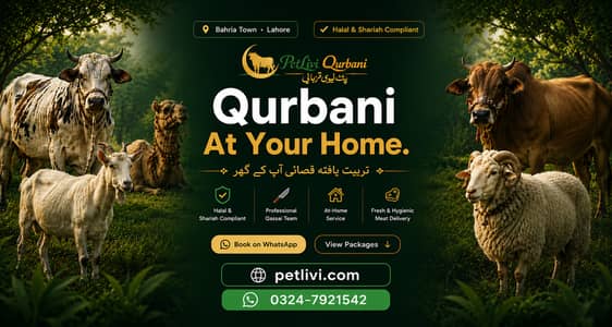 Professional Qasai Service Lahore 2026 -- Home Qurbani | Bakra Cow