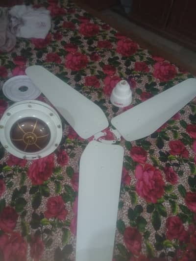 Lahore fan