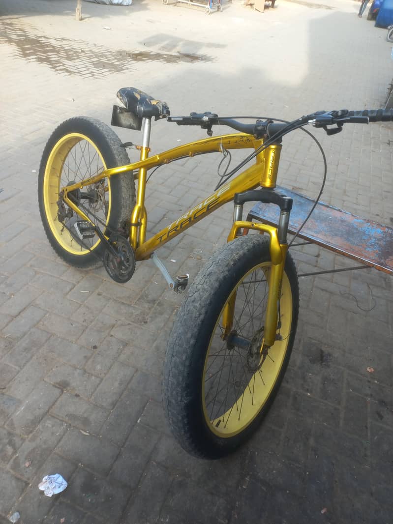 Big ter cycle 1