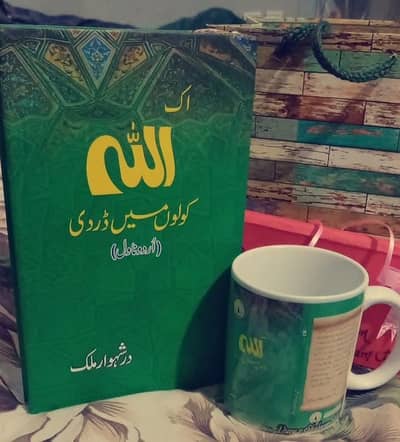 Urdu novel Best book