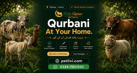 Qurbani Qasai Gulberg Lahore | Home Slaughter Cutting Packing | 2026