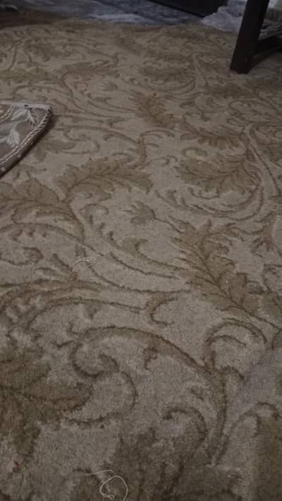 soft and good carpet