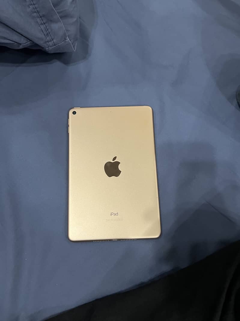 Ipad 5 mini 5