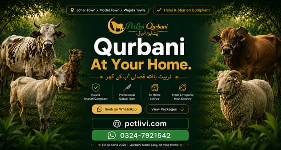 Qurbani Qasai Service Model Town | Johar Town | Wapda / Valencia Town