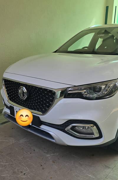Mg hs2024
