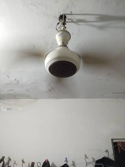 Celing fan