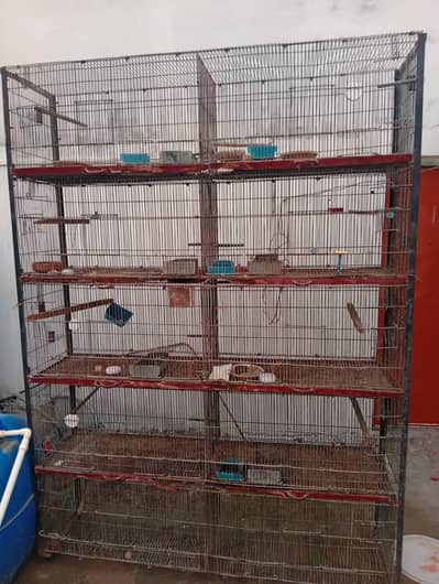 bird cage