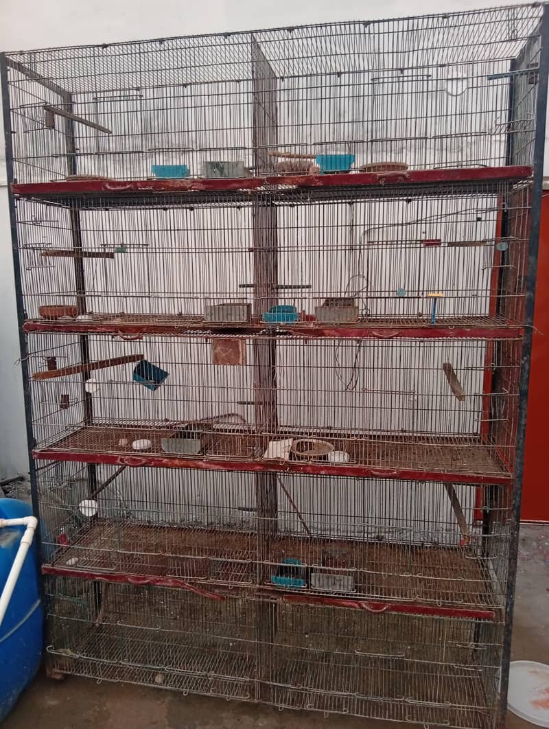 bird cage 1