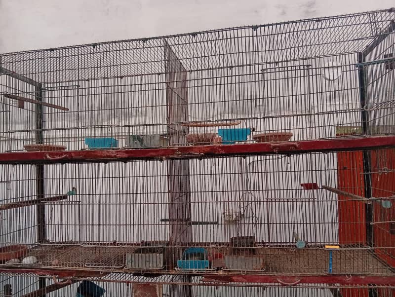 bird cage 2
