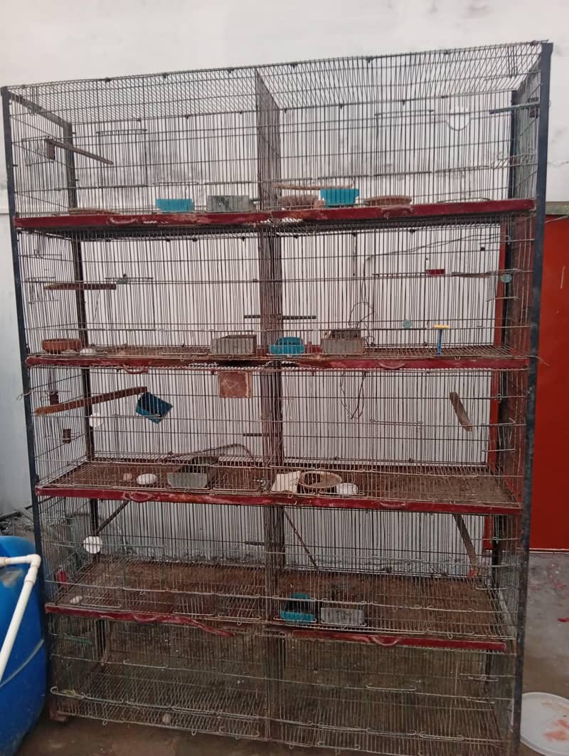 bird cage 3