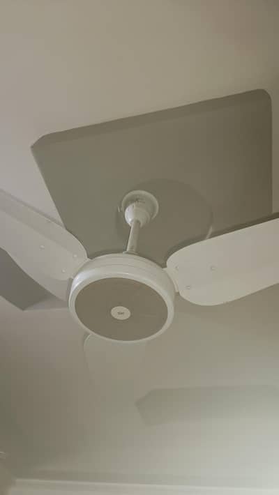 ceeling fans sk company 2 and other 1 fan