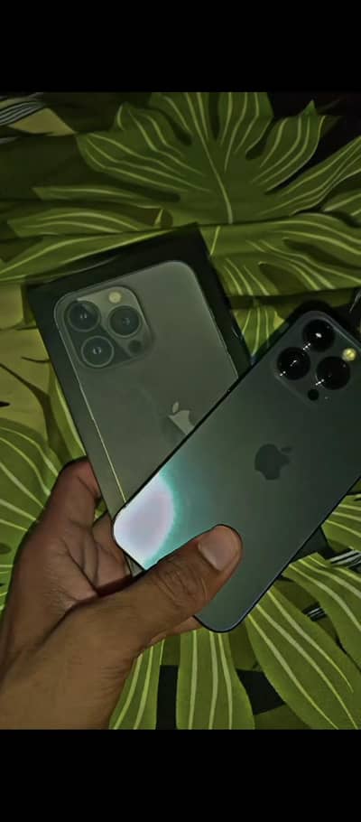 iphone 13 pro nonpta
