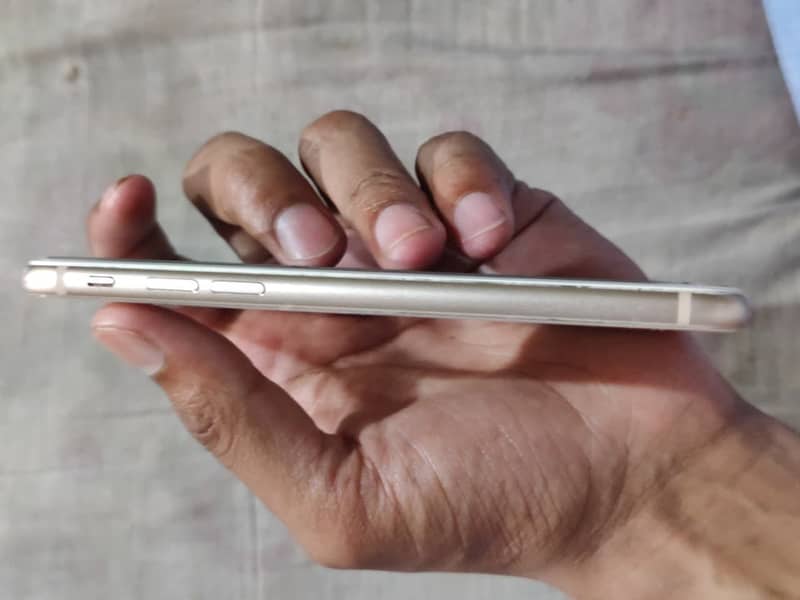iPhone 5