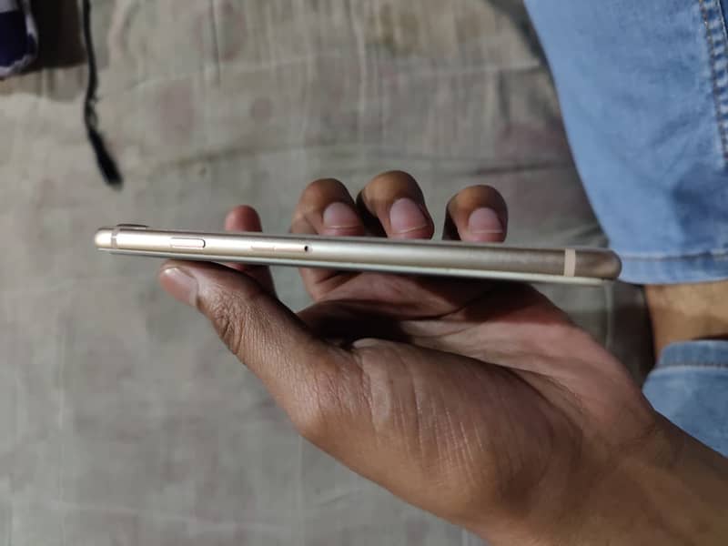 iPhone 6