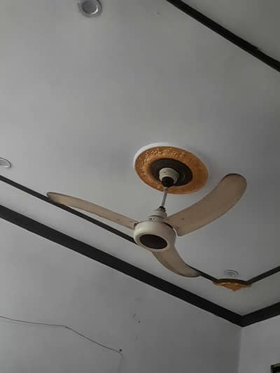 royal fan 100%original no opne no repair