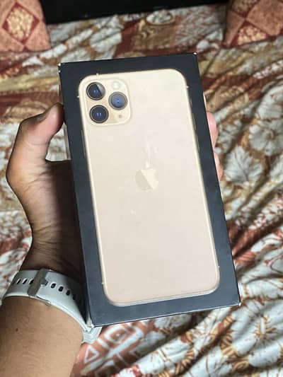 iPhone 11 Pro (Golden Colour)
