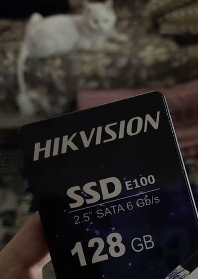 Hikvision SSD 128 gb with Free WD Case