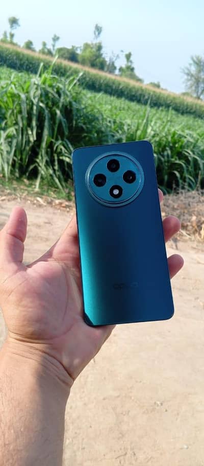 Oppo reno 12f sale