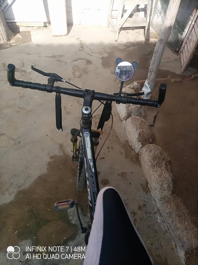 bicycle 2