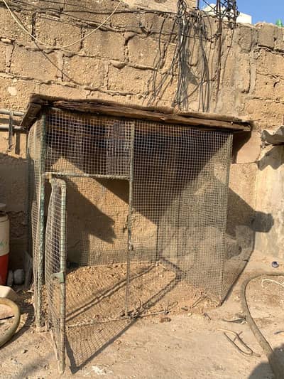 hen cage so big in metal