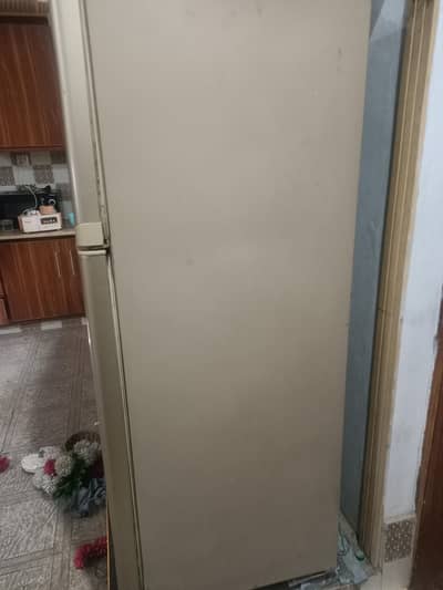 301L fridge