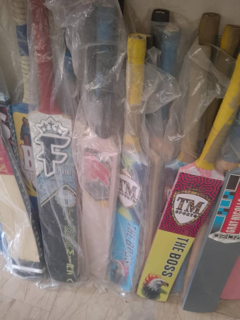 Cricket Bat 3