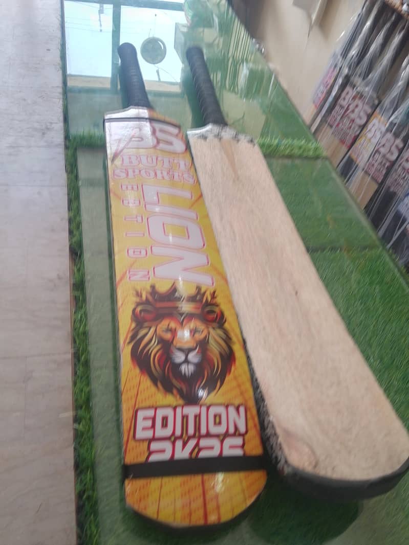 Cricket Bat 16