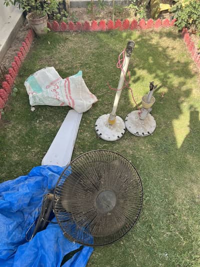 2 millet ceiling fans