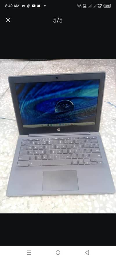 Hp Chromebook