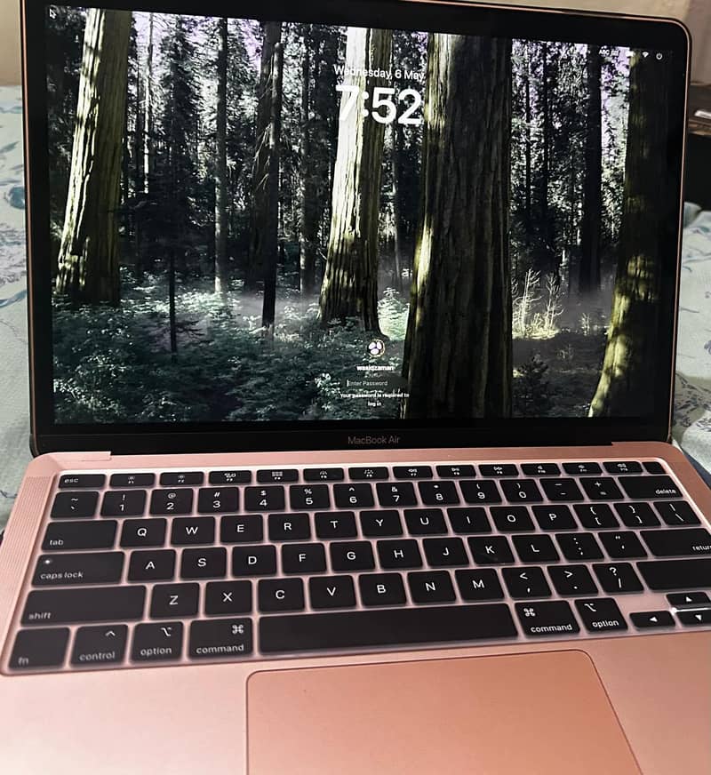 Screen issue 4