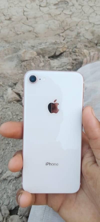 I phone 8PTA Approved
