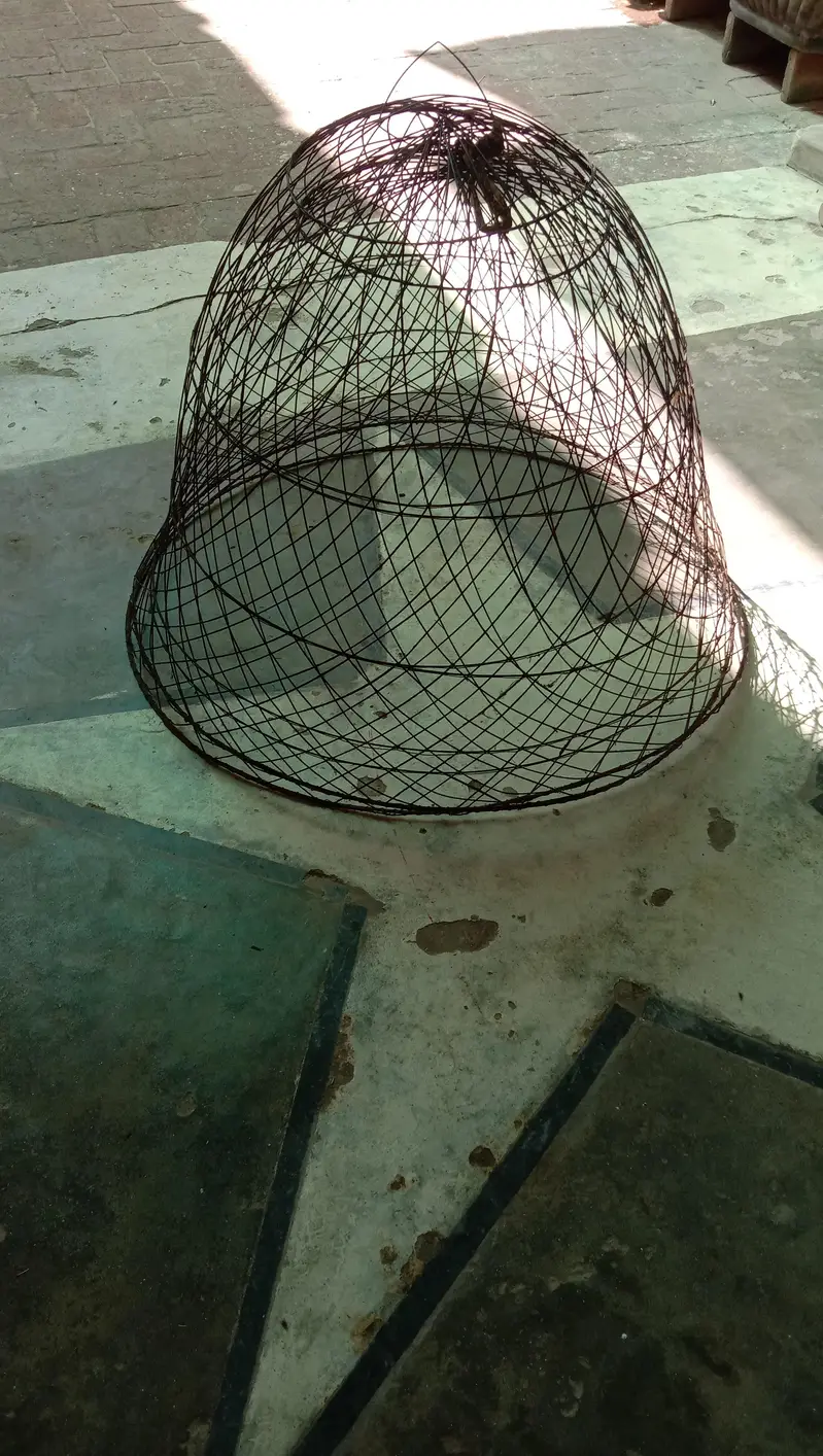 tokra — photo 2