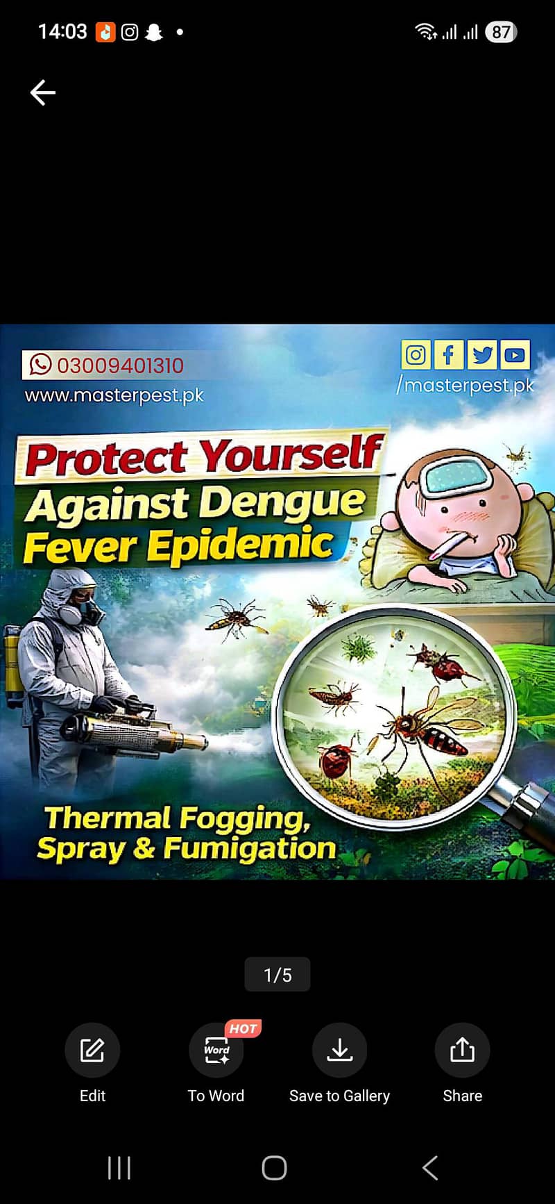 Termite control/pest control/cockroach spray/fumigation 2