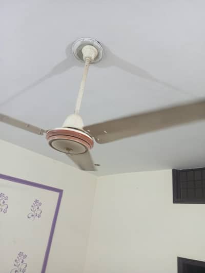 ceiling fan for sale in reasonable priy
