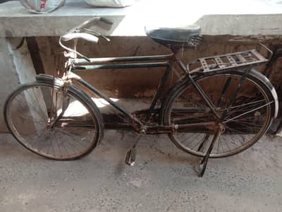 cycle  03237916995