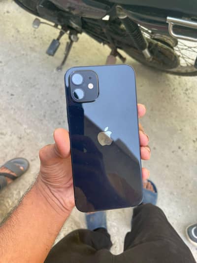 iphone 12 pta proved all ok