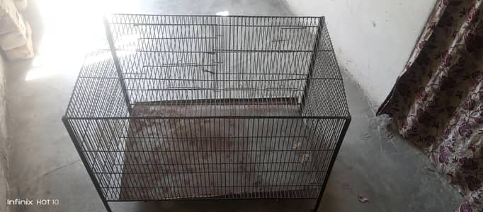 birds cage