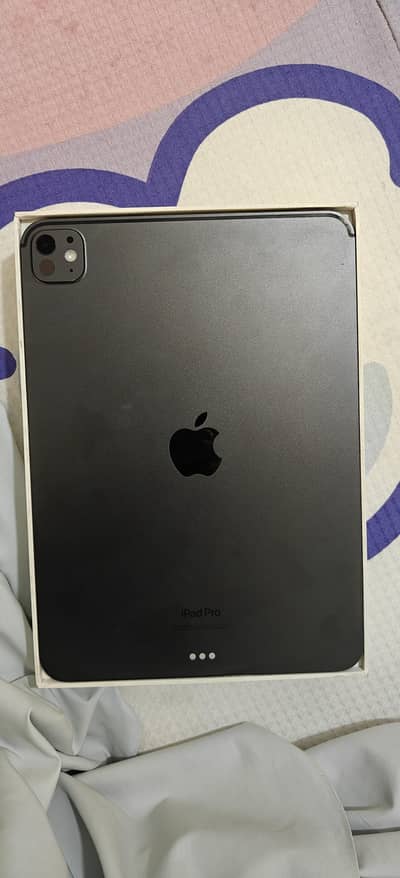 m4 11 inch 256 gb
