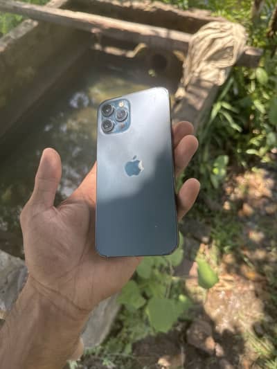 iPhone 12 pro max