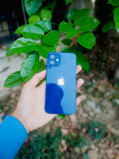 iphone 12 64 water pack